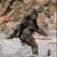 CRYPTOZOOLOGY