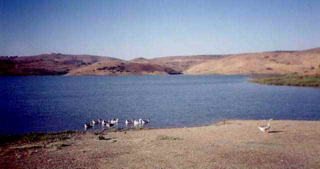 Lake Herman